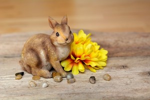 Quelle est l'histoire du lapin de Paques?