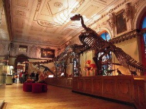 Un monde merveilleux: les musees les plus interessants en Roumanie
