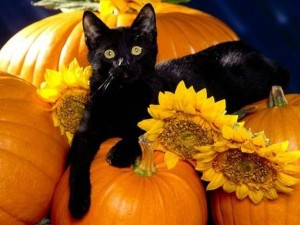 Traditions d'Halloween dans le monde entier