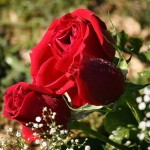 8 mars, pas seulement un jour dans le calendrier