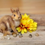 Quelle est l'histoire du lapin de Paques?