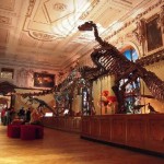Un monde merveilleux: les musees les plus interessants en Roumanie