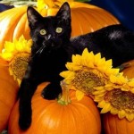 Traditions d'Halloween dans le monde entier